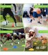 Conos de Futbol juego de 50 discos Deportes