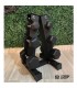 Soporte de Mancuernas  de 3 pares Triangular