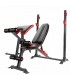 Banca Press Iron Gym con Rack